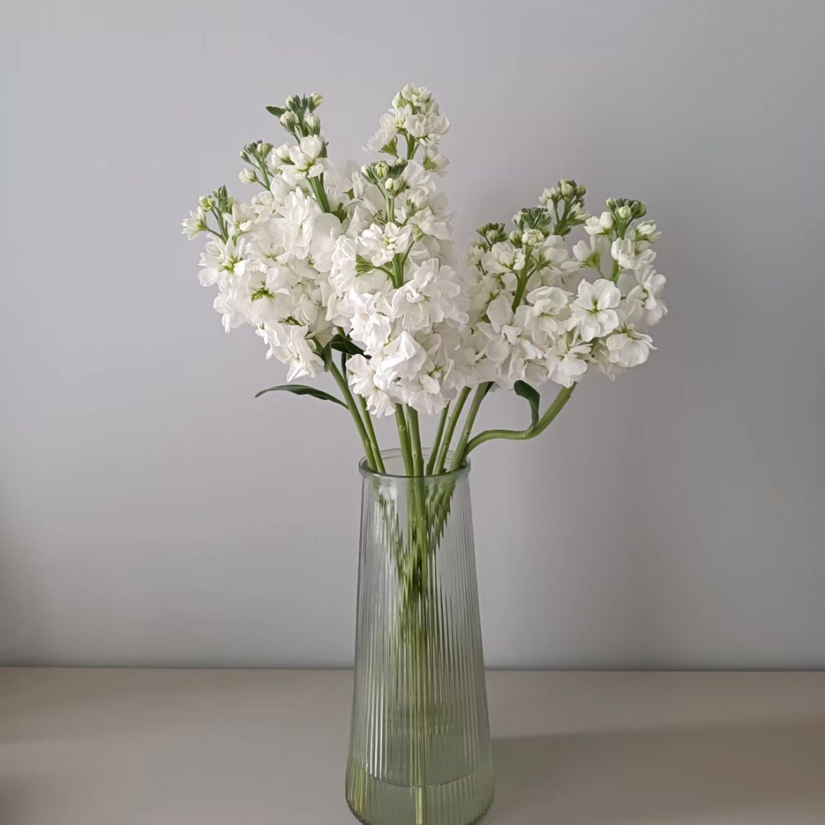 กล้วยไม้