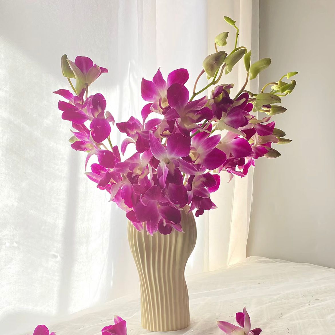 กล้วยไม้