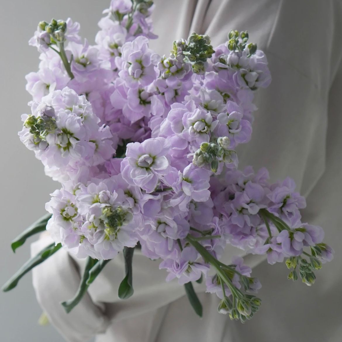 กล้วยไม้