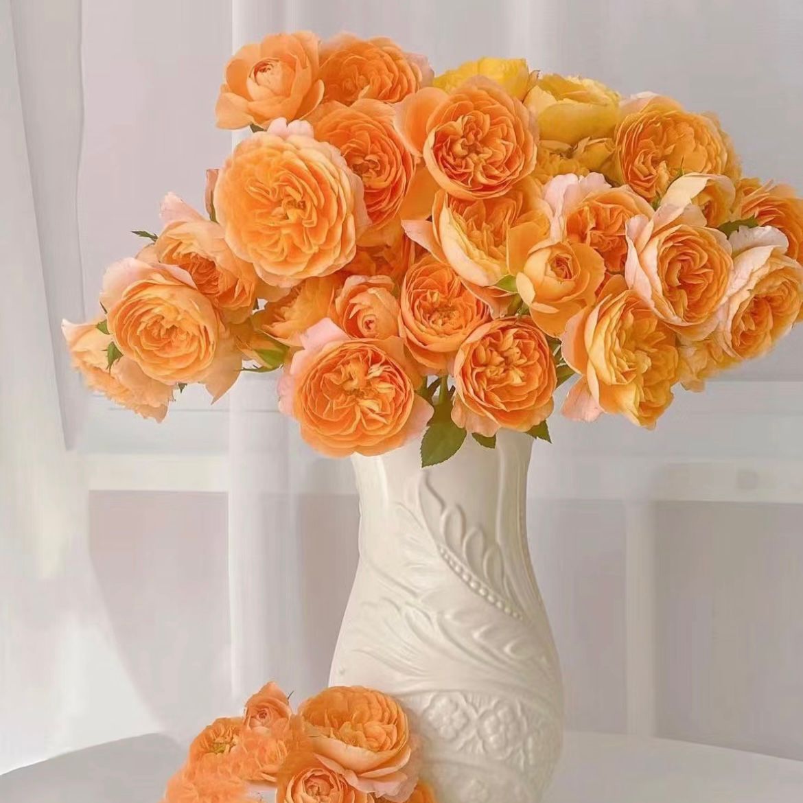 ดอกกุหลาบ