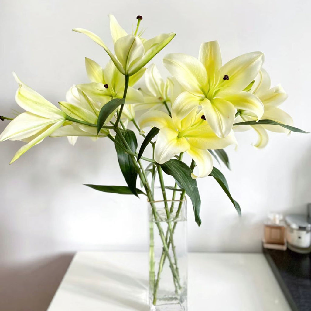 ดอกลิลลี่