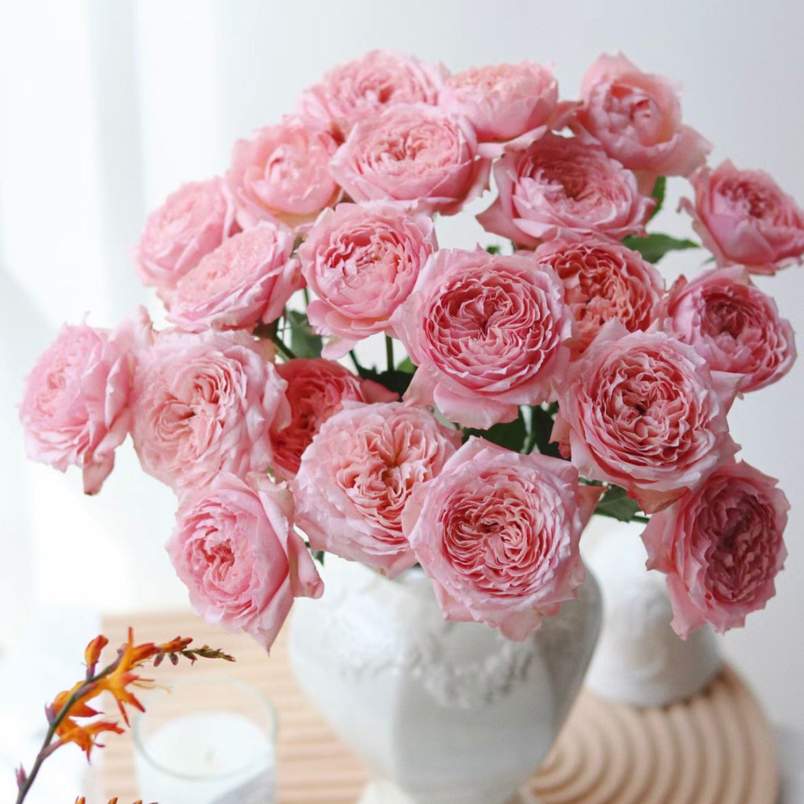 ดอกกุหลาบ