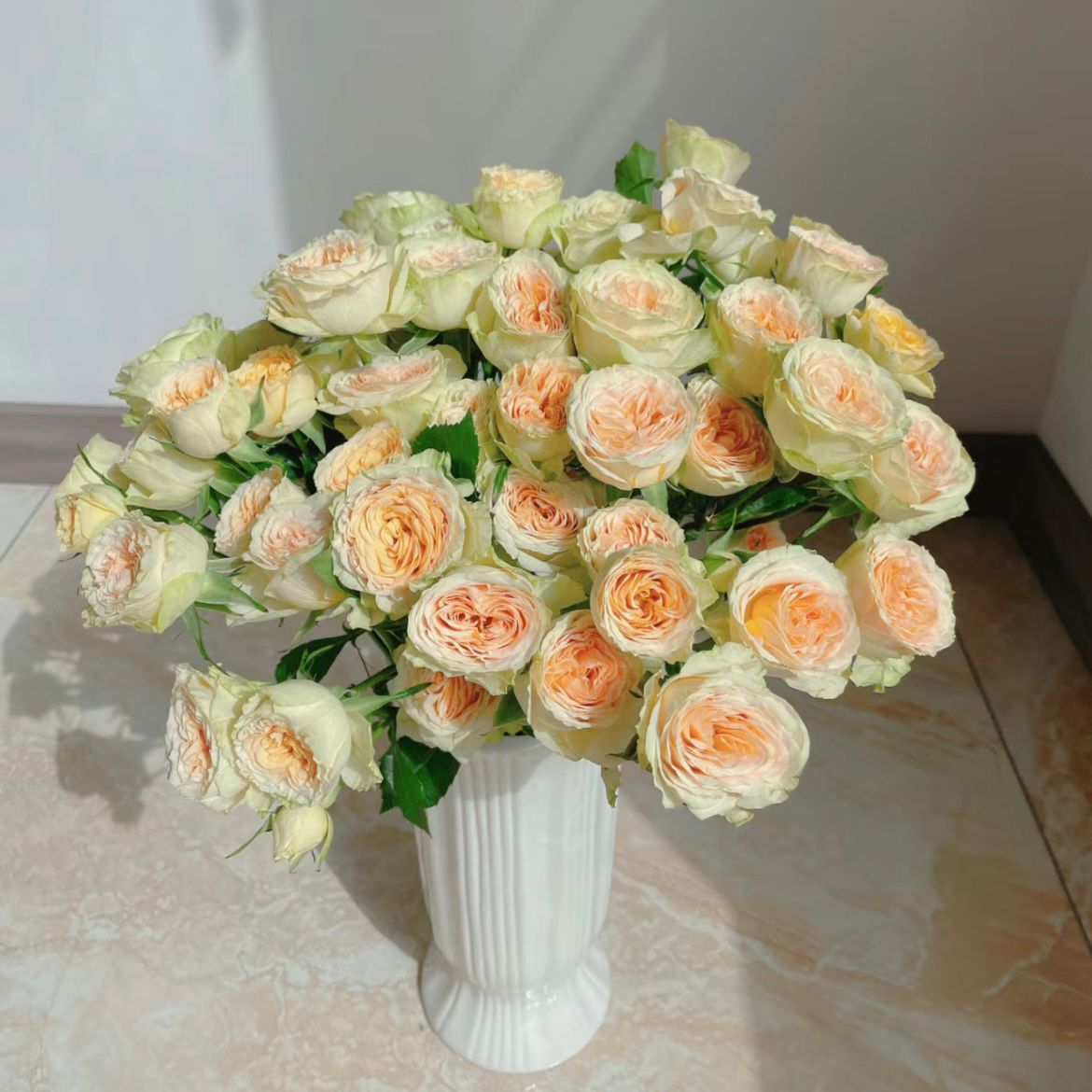 ดอกกุหลาบ