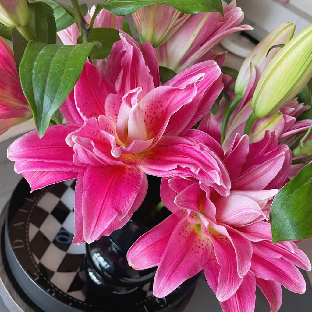 ดอกลิลลี่