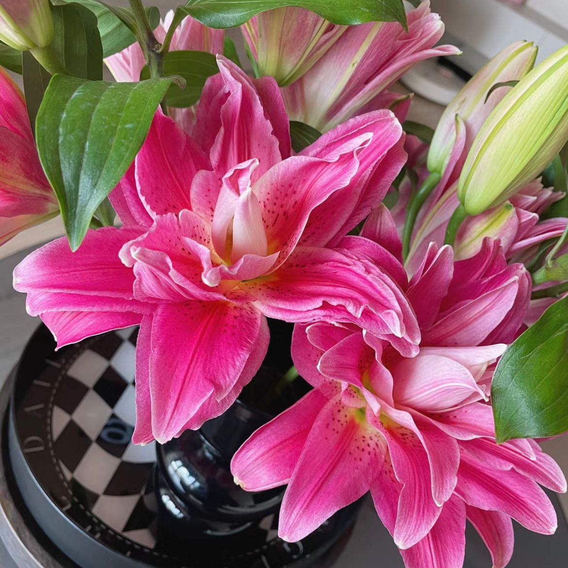 ดอกลิลลี่